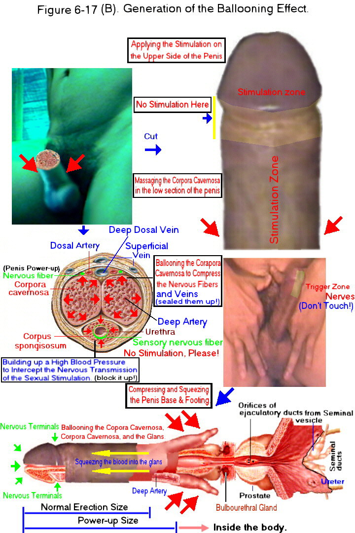 fig6-17b.jpg